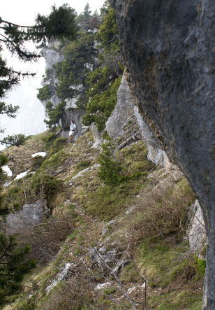 Sur un sangle au-dessus du sangle classique 16petit.jpg