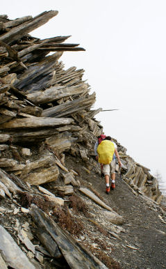 En haut du col de Belle Côte 20petit.jpg