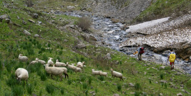 Descente du col de Belle Côte 22petit.jpg