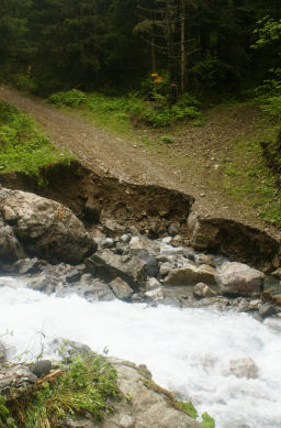 Pas facile de passer le pont ! 33petit.jpg