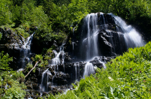 Cascade 16petit.jpg