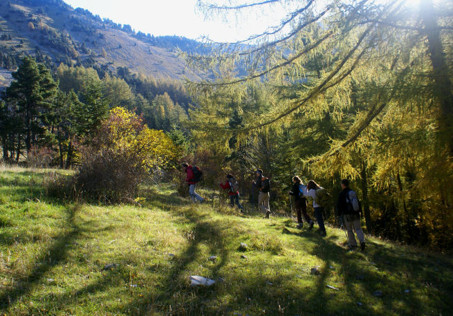 Le groupe 02petit.jpg