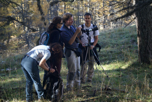 Observation 09petit.jpg