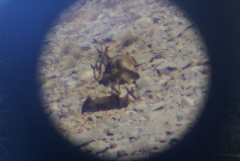 A travers la lunette 10petit.jpg