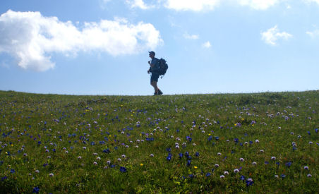 09petit.jpg