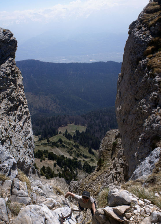 08petit.jpg