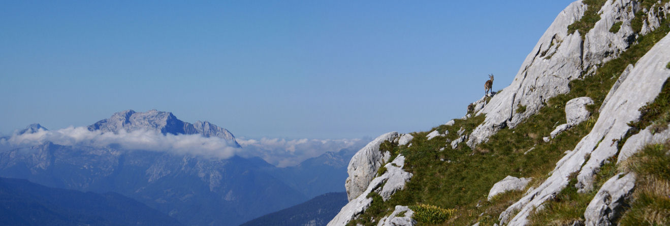 Devant la Tournette 07petit.jpg