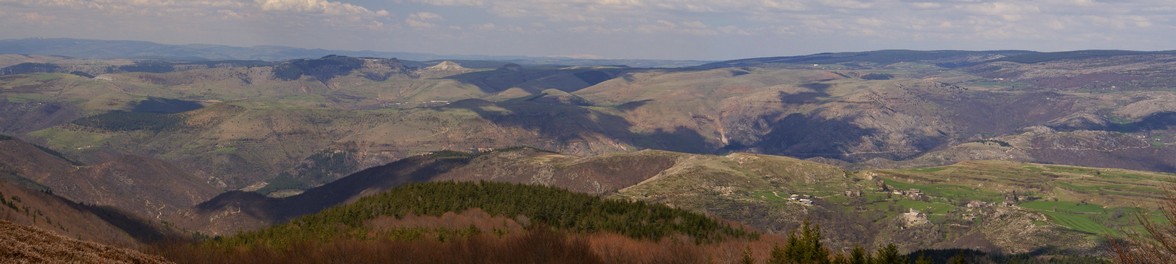 34petit.jpg