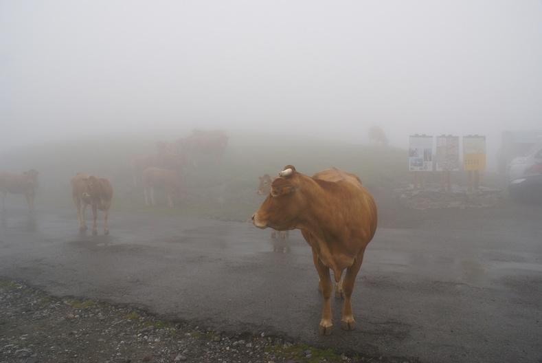 Départ dans les nuages A01petit.jpg