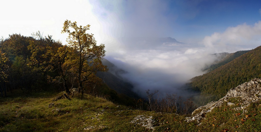 La forêt de Mont-Saint-Martin 04petit.jpg