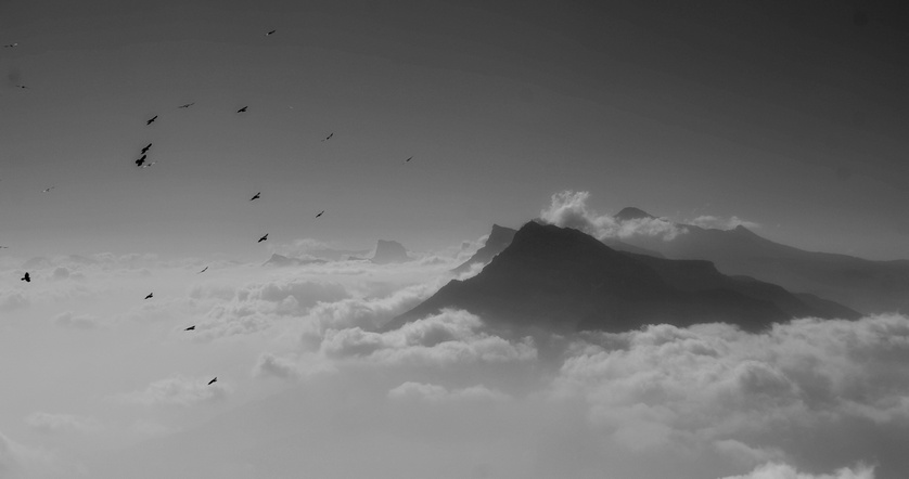 Le Vercors 13petit.jpg