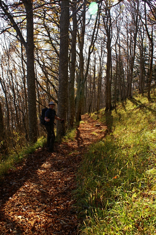 Descente en forêt 19petit.jpg