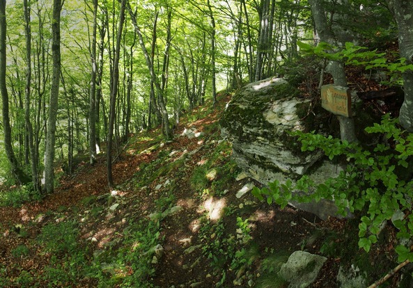 Le passage de la Pioche 04petit.jpg