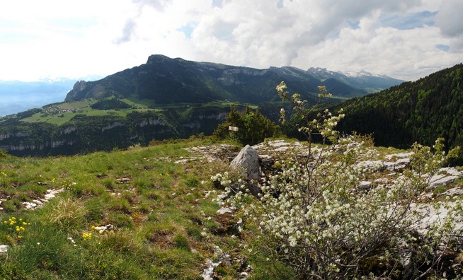 Roche Rousse 07petit.jpg