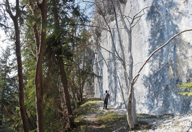 "The Wall" 04petit.jpg