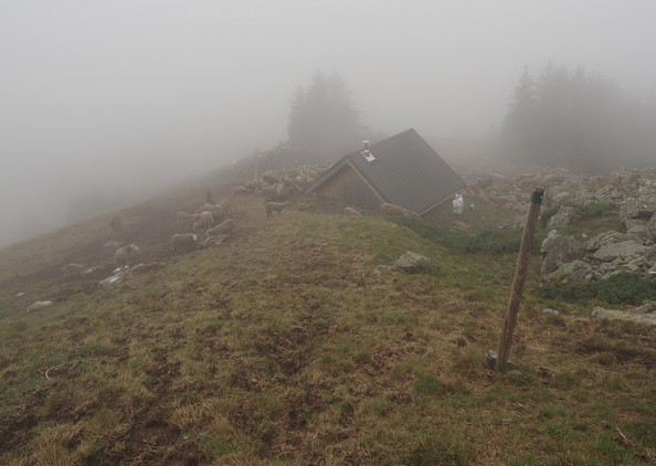 Cabane de Rocher Roux dans le brouillard 01petit.jpg