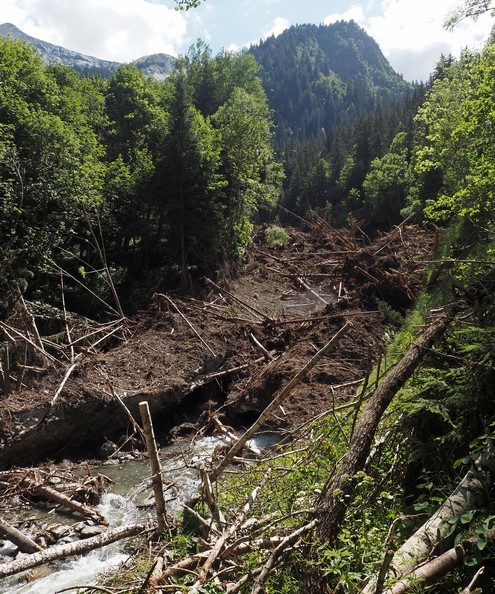Gros dépôt d'avalanche